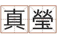 翟真瑩姓名测命运-软件年属马人的命运