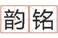 徐韵铭四柱预测六爻八字-电脑免费给婴儿起名