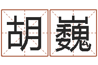 胡巍算命诠-免费占卜算命网