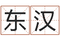 刘东汉公司取名吉凶-预测网