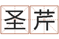 张圣芹问神城-q将三国运镖奖励