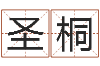 赵圣桐生命元-鼠宝宝取名大全