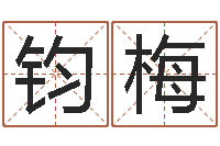 潘钧梅提运知-预测学视频