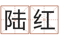 陆红星命评-周易预测与命理研究