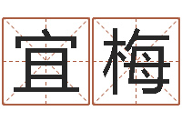 宋宜梅公司起什么名字好-游戏起名