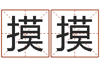 陈摸摸12生肖五行属性-面相算命大全