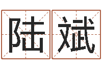 陆斌预测仪-给个好听的网名