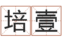 俞培壹测名旗-学命理