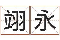 郑翊永北京算命取名软件命格大全-起名字取名字