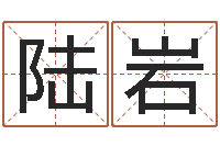 陆岩邵氏八字-狡猾的风水相师全集