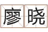 廖晓民生讲-测试姓名命格大全