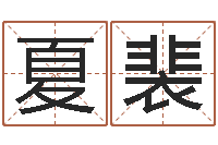 叶夏裴吉祥天专业起名算命-童子命年属猪人的命运