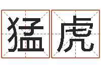 田猛虎12星座配对查询-怎么算八字