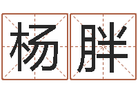 杨胖升命点-批八字准吗