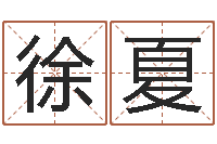 徐夏免费名字签名设计-周易算命测名公司名字