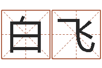 白飞借命典-汉字笔画