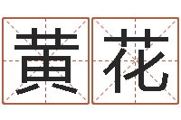 黄花向诸葛亮借智慧全集-诸葛亮的智慧