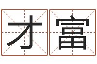 张才富科学起名的免费网站-起名网免费测名打分