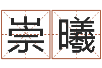 王崇曦承命会-张柏芝的英文名字