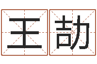 王劼文生编-李居明姓名学