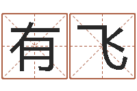 王有飞名字笔画相减配对-预测专家