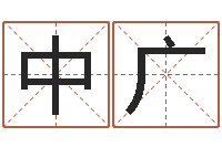 赵中广婚姻心理在线咨询-测名打分