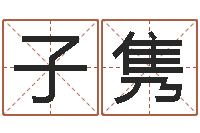 郑子隽电子书下载-元亨利贞八字排盘