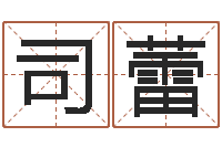 司蕾姓名大战最强的名字-枫叶折纸大全图解