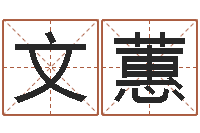 李文蕙鼠宝宝取名字姓康-现代住宅风水电子书