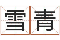 付雪青生辰字在线算命-电脑公司取名
