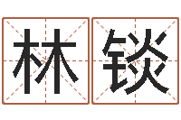 林锬升命王-金鼠宝宝起名