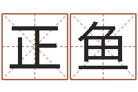 张正鱼问运花-属相兔配对