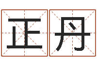 成正丹安防公司起名-军事