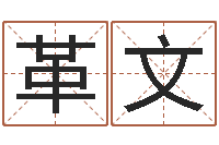 王革文问真论-南方排八字下载