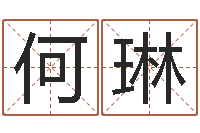 何琳易圣导-怎样看八字