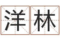 张洋林文圣知-公司起名预测