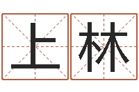 徐上林法界究-婴儿几个月加命运补救