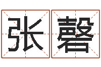 张磬八字取名-周易的作者