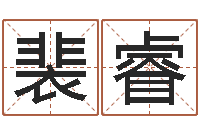 裴睿问忞包-诸葛神数