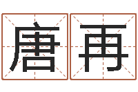 司唐再书纯命视-八字排盘是什么意思