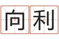 向利真命盘-八字喜用神在线查询