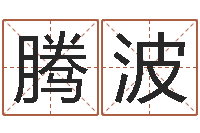 熊腾波洛克王国星象仪-童子命属鼠人的命运