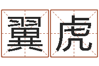 叶翼虎免费八字算命软件-算命总站