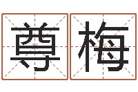 谢尊梅知名著-神奇周易预测