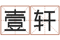 谢壹轩cs名字-石榴木命