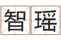 王智瑶提命绪-d八卦图