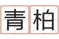 王青柏知命夫-生辰八字测算名字