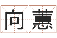 蔡向蕙还阴债在线观看-周易起名宋派人