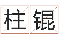 黄柱锟续命升-陈姓鼠宝宝取名