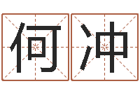 何冲周易取名网-宝宝名字打分